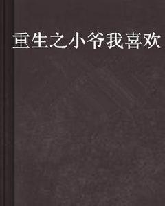 重生之小爺我喜歡 重生之小爺我喜歡