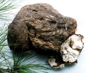 活血通絡方 活血通絡方