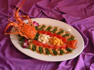 金龍展翅 金龍展翅