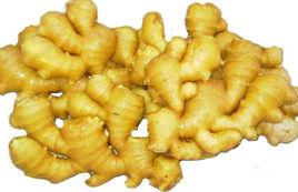 沂水生薑 沂水生薑