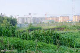 古城鎮[黑龍江省齊齊哈爾市克山縣古城鎮]