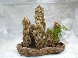 雲霧山水盆景 雲霧山水盆景