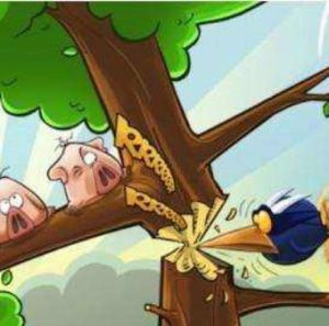 母豬上樹 母豬上樹