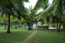 椰夢長廊美麗風光