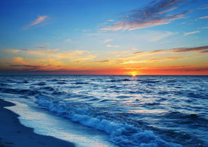 海洋自淨能力 海洋自淨能力