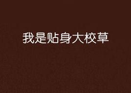 我是貼身大校草 我是貼身大校草