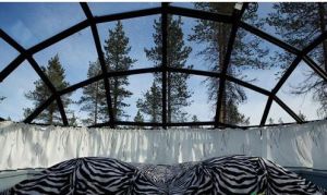 舒適的透明房間