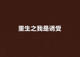 重生之我是誘受 重生之我是誘受