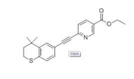他扎羅丁 他扎羅丁