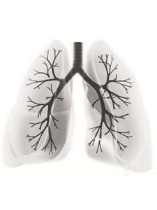 肺部疾病 肺部疾病