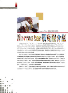 內部期刊 內部期刊