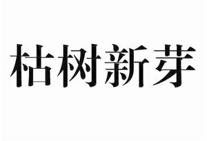 枯樹新芽
