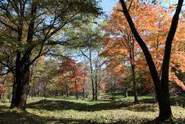 龍灣湖風景區 龍灣湖風景區