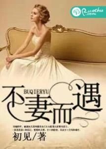 不妻而遇 不妻而遇