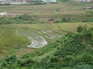 靈官廟村 靈官廟村