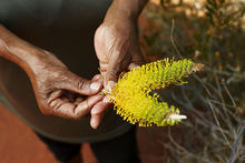 原住民文化活動