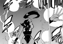 四楓院夜一[四楓院夜一]