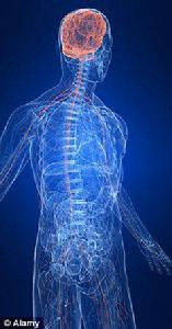 人造神經 人造神經