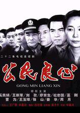 公民良心[電視劇《公民良心》]