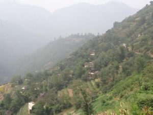 張家坪子自然村 張家坪子自然村