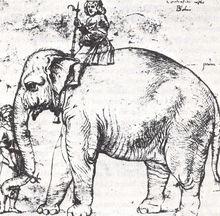 教皇曾對他的寵物大象的飼養揮霍無度