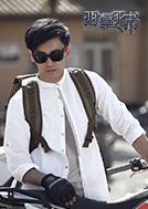 西夏死書[2017年藍海瀚執導電視劇]