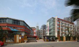 成都市青羊實驗中學 成都市青羊實驗中學