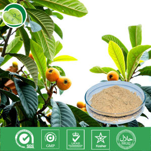 科羅索酸 科羅索酸