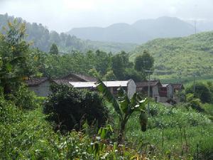 芒撒自然村 芒撒自然村