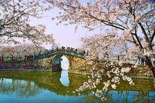 無錫太湖黿頭渚風景區