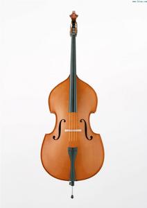 低音提琴 低音提琴