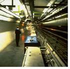 LEP幫助科學家尋找希格斯玻色子