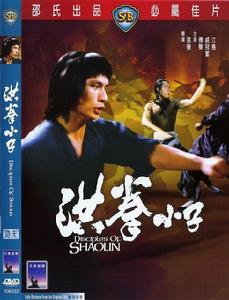 洪拳小子 洪拳小子