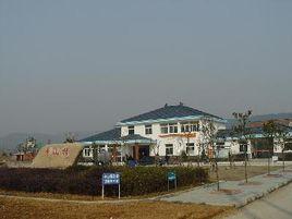 香山村[安徽東至縣香隅鎮下轄村]