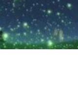 螢火蟲;我閃閃的幸福 螢火蟲;我閃閃的幸福