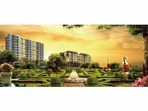 巴黎壹號 巴黎壹號