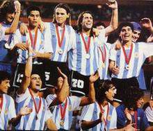 93年美洲杯奪冠