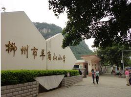 羊角山國小 羊角山國小