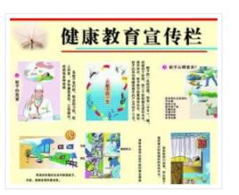 健康評價 健康評價