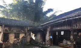 1·4永德地震 1·4永德地震