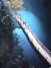 觀音堂[山西省長治市觀音堂]