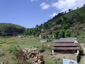 木瓜林村 木瓜林村