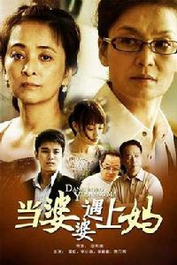 婆婆媽媽[2011年李小璐主演電視劇]