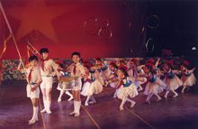 南京小紅花藝術團