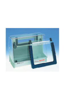 瓊脂糖凝膠電泳