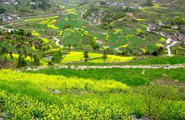 龍眠山風景區 龍眠山風景區