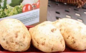 尚大·沃聯褔農園