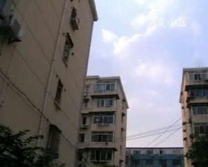 楊思小區 楊思小區