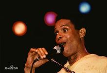 艾爾&middot;賈諾