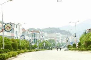 楓林鎮[陽新縣]